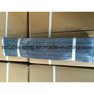 Webbing Lifting Sling/Lifting Webbing/Webbing Sling